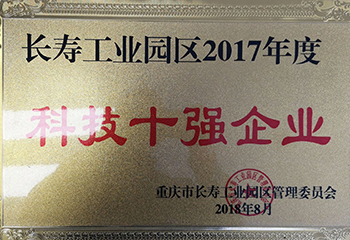 重庆LD乐动体育（中国）科技有限公司官网科技十强企业